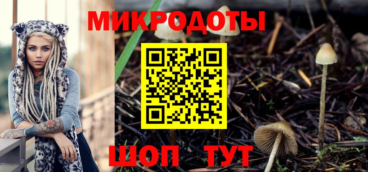 Псилоцибиновые грибы Cubensis Батайск