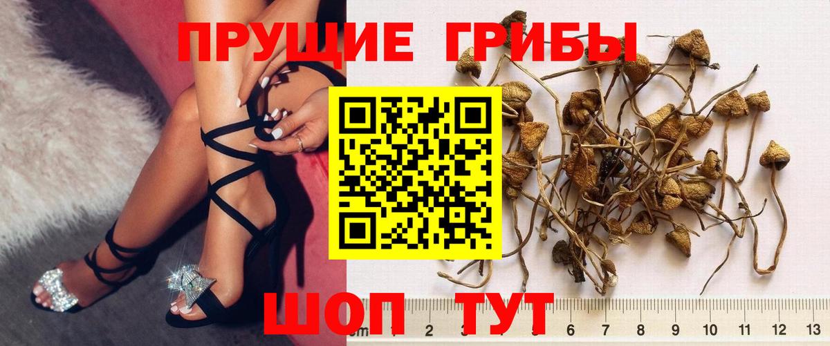 Батайск  Псилоцибиновые грибы прущие грибы  Вход с VPN  Галлюциногенные грибы мицелий 